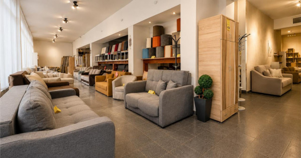Spatiu comercial Sfantu Gheorghe, 395 mp, vizibilitate aprec