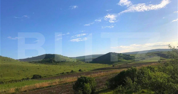 Teren de vanzare, 1.000 mp, Sat Pata