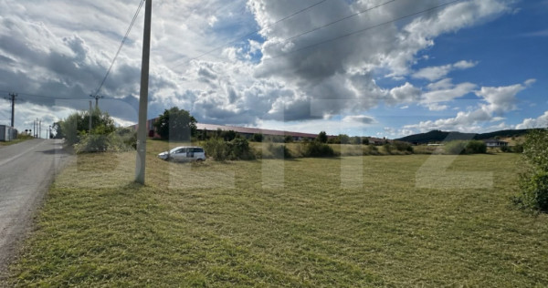 Teren Intravilande vanzrae, 20 Ari, zona Livezile