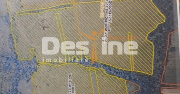 Oportunitate de investitie- teren Martinesti, Hunedoara