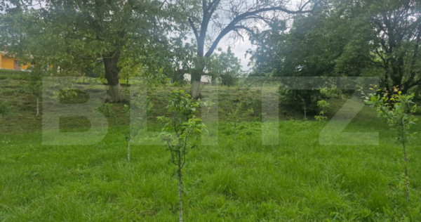 Teren de vanzare, 1000 mp, zona Turda