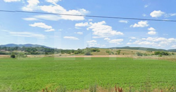 Teren agricol de vanzare, 4.000 mp, zona Valea Bogății
