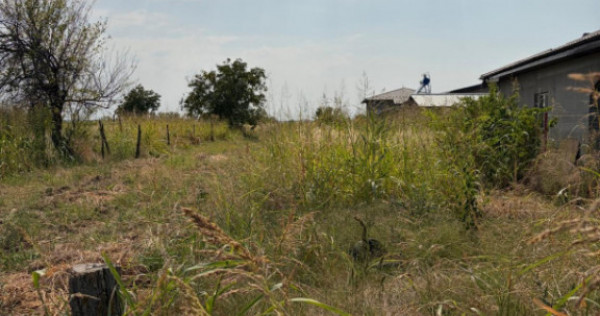 Teren intravilan de vanzare, 1.000 mp, zona Malu Mare