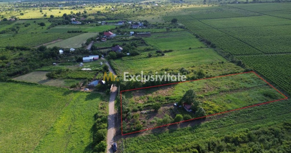 Teren Urlați /Utilitati/ 5.555 mp pe Traseul MARVIN si D...