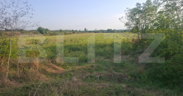 Teren extravilan de vanzare, 5000 mp, zona Viisoara