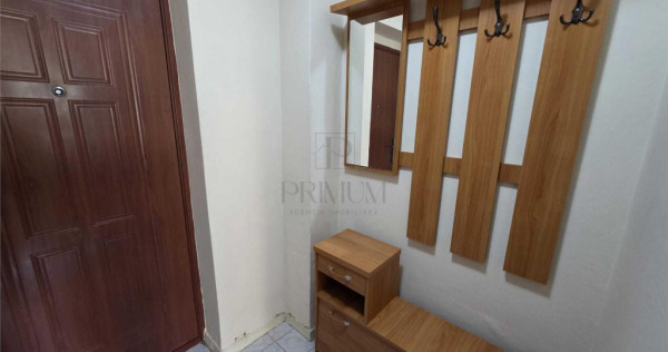 Apartament 1 camera-Elisabetin