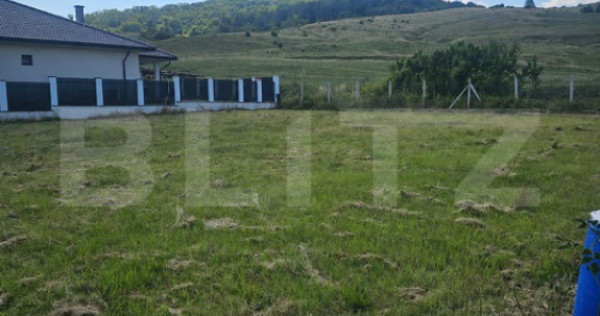 Teren intravilan, 930 mp, zona Viisoara
