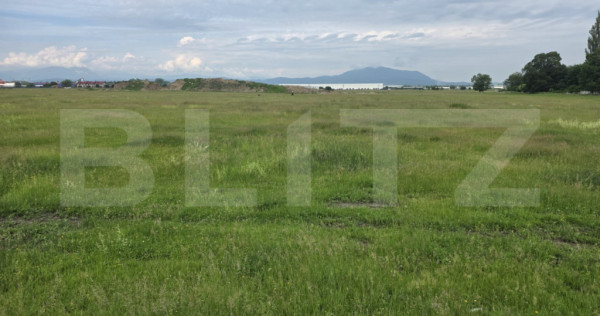 Teren intravilan, 4000 mp, zona Nicolae Labis