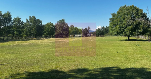 Teren intravilan de vanzare in Campina