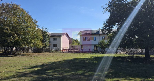 Teren intravilan 10.000 mp de vanzare in Campina