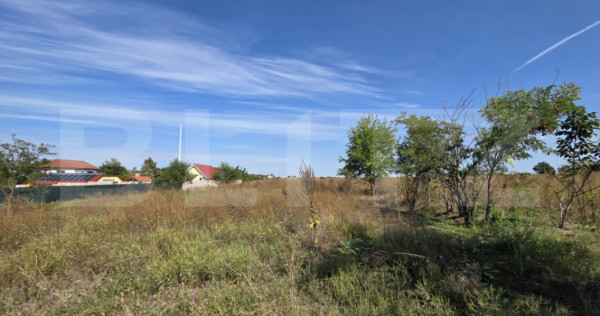 Teren de vanzare, 4 hectare, zona Exterior Vest