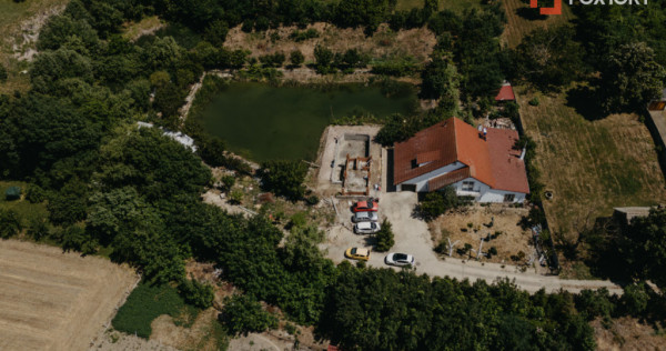Casa individuala cu 8 camere si lac cu pesti, teren 4424 mp