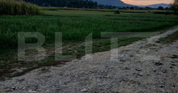 Teren intravilan de vaznare, 2.818 mp, zona Capu Campului