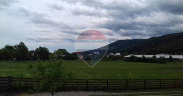 Teren Gura Humorului, Bulevardul Bucovina
