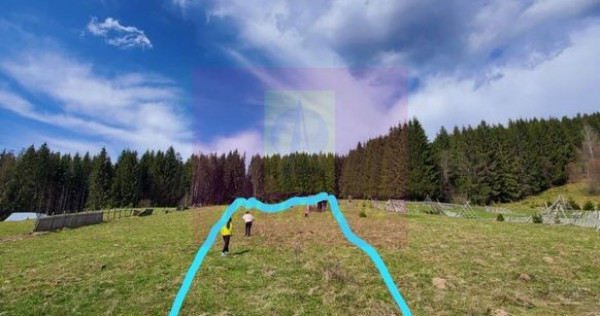 Teren intravilan 2500 mp in Valea Doftanei