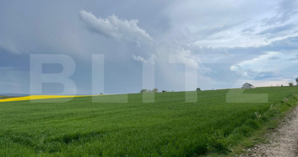 Teren intravilan, 1000 mp, Frumoasa