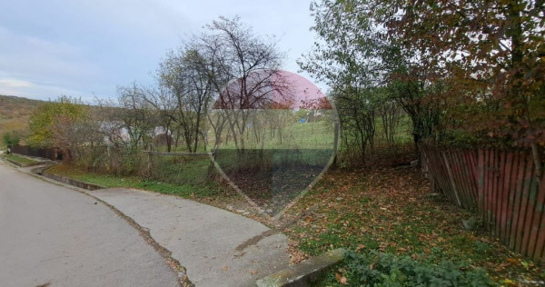 Teren intravilan 3500mp | Cotofenesti, Prahova