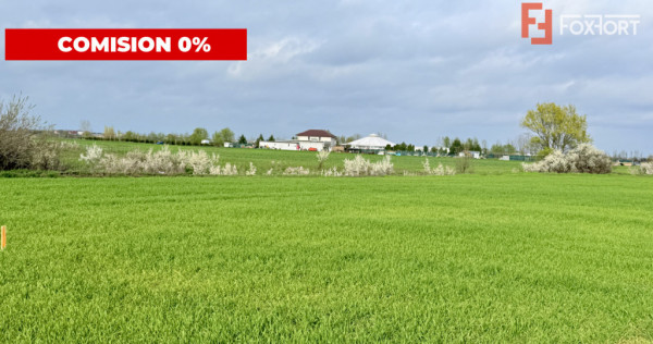 Parcela de teren intravilan de vanzare, 502 mp - Sacalaz