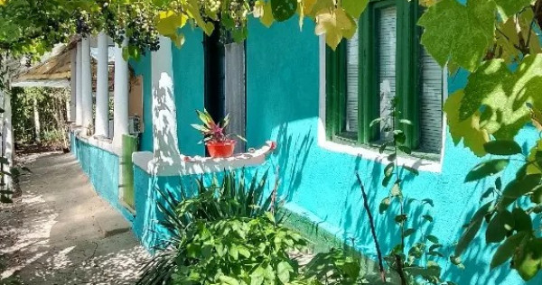 Vand casa locuibilă Izvoarele