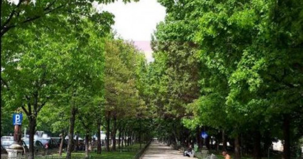Vanzare apartament 4 camere Mall Vitan
