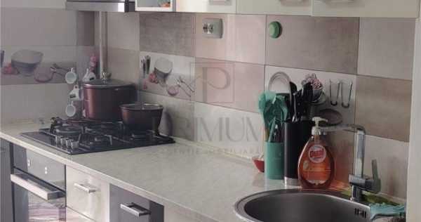 Lipovei - 2 Camere - Etaj intermediar - Decomandat - Renovat