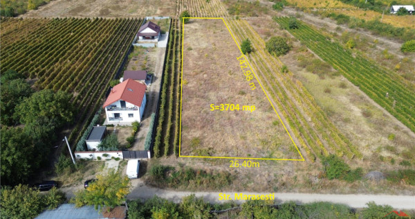 Teren de 3704 mp, extravilan Odobesti