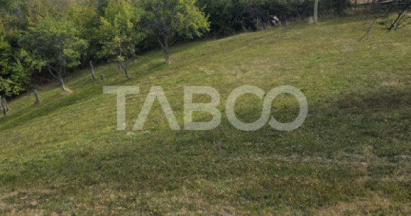 Teren de vanzare 8.300 mp Plesi Loman judetul Alba