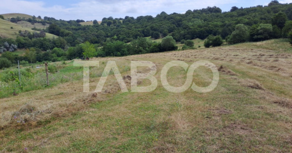 Teren de vanzare langa padure 15600 mp in Hamba Sibiu