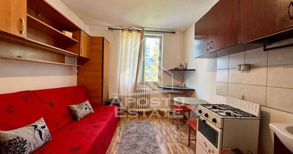 Garsoniera cu baie la comun de vanzare, zona Take Ionescu Timisoara