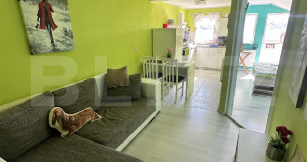 Apartament 2 camere, 50 mp, zona Independenței
