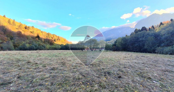 Teren de vanzare Zarnesti Brasov Piatra craiului