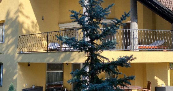 Vand casa in Deva, D+P+M, ultracentral la 600 metri de Casa de Cultura