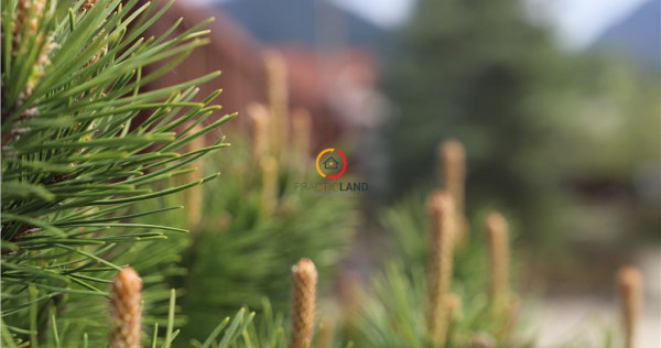 Constructii si teren intravilan18.000 mp