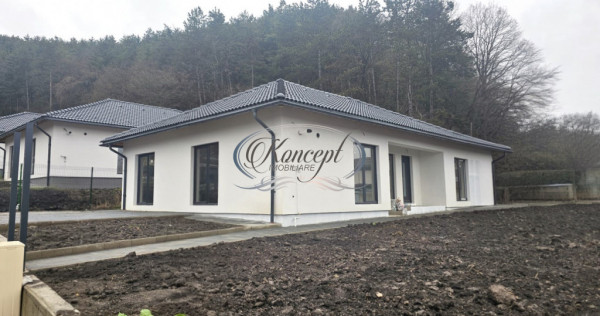Casa individuala pe un nivel, in Popesti