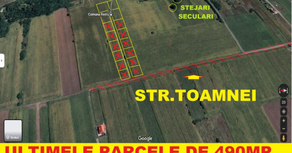 Pacurari-Platou Beldiman(LA STEJARI SECULARI)1960 mp,plan