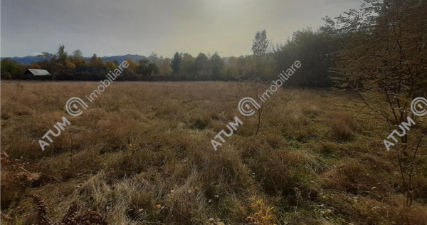 Teren intravilan de in Avrig zona Valea Avrigului