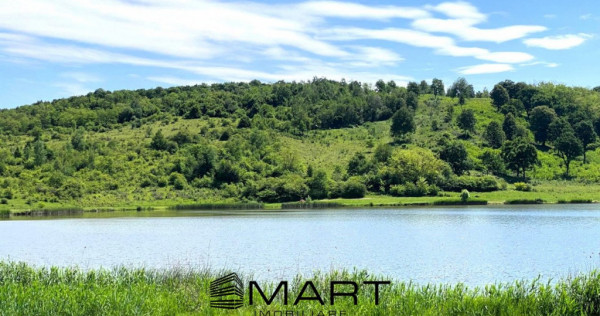 Teren extravilan 3200mp lac Sacel