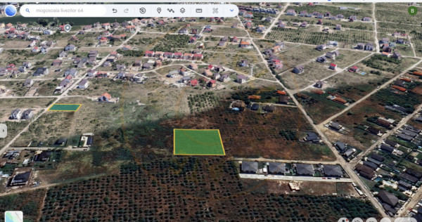 Teren 3600mp Mogosoaia - Oportunitate de investitie!