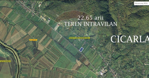 CICARLAU- la DN 1- teren intravilan DE VANZARE