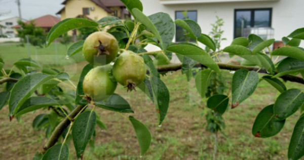 Casa individuala, 155 mp utili, 692 mp teren, Cornesti-Mihai