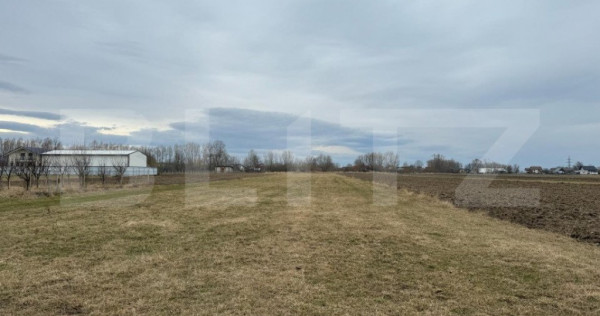 Teren intravilan, 5200MP, centura Radauti