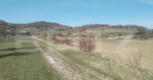 Teren intravilan cu suprafață de 9ha, Aninoasa