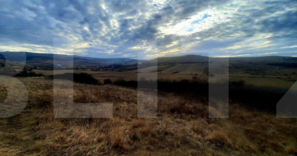 Teren intravilan 2900mp, situat in cartierul Sopor