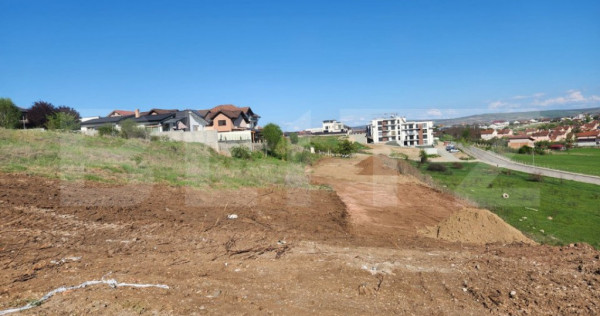 Teren intravilan 5600mp pt P+3 si 15 case insiruite in Cetat