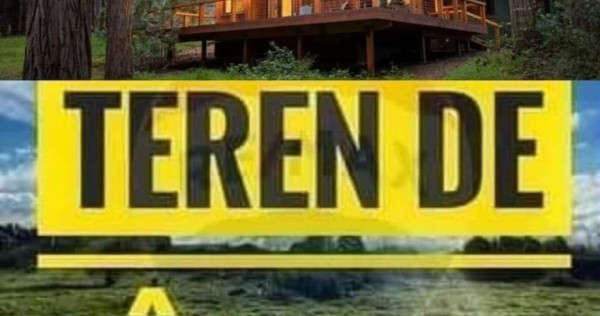 De vanzare teren in Bicaz pentru cabana , 11.900 euro