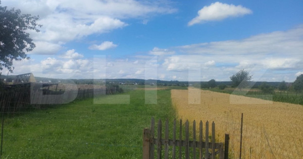 Teren intravilan la sosea, 6400 mp, Vicov de Sus