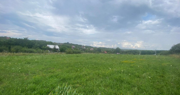 Teren 8000mp Daia noua