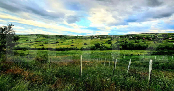 Teren cu autorizatie de constructie, 425mp, ,in Colonia Vale