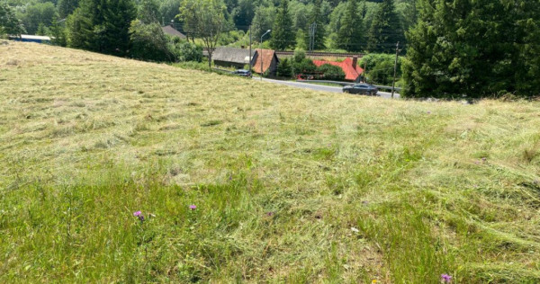 Oportunitate de Investiție: Teren de 10.000 mp la Intrarea