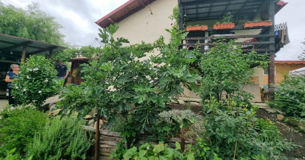 Casa parter si teren intravilan Pucioasa, Dambovita